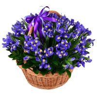 Bouquet 101 blue iris