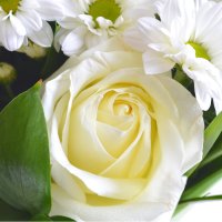 Bouquet White waltz
