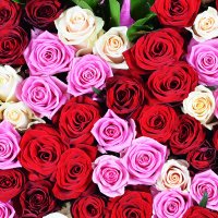 Bouquet Rose heart