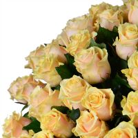 Bouquet 101 creamy roses