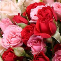 Bouquet Perfection rose