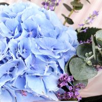 Product With hydrangea