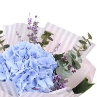 Product With hydrangea