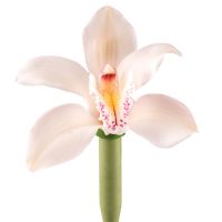 Bouquet Orchid white piece
