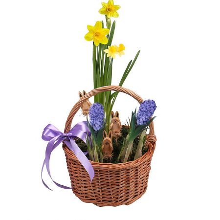 Product Spring basket